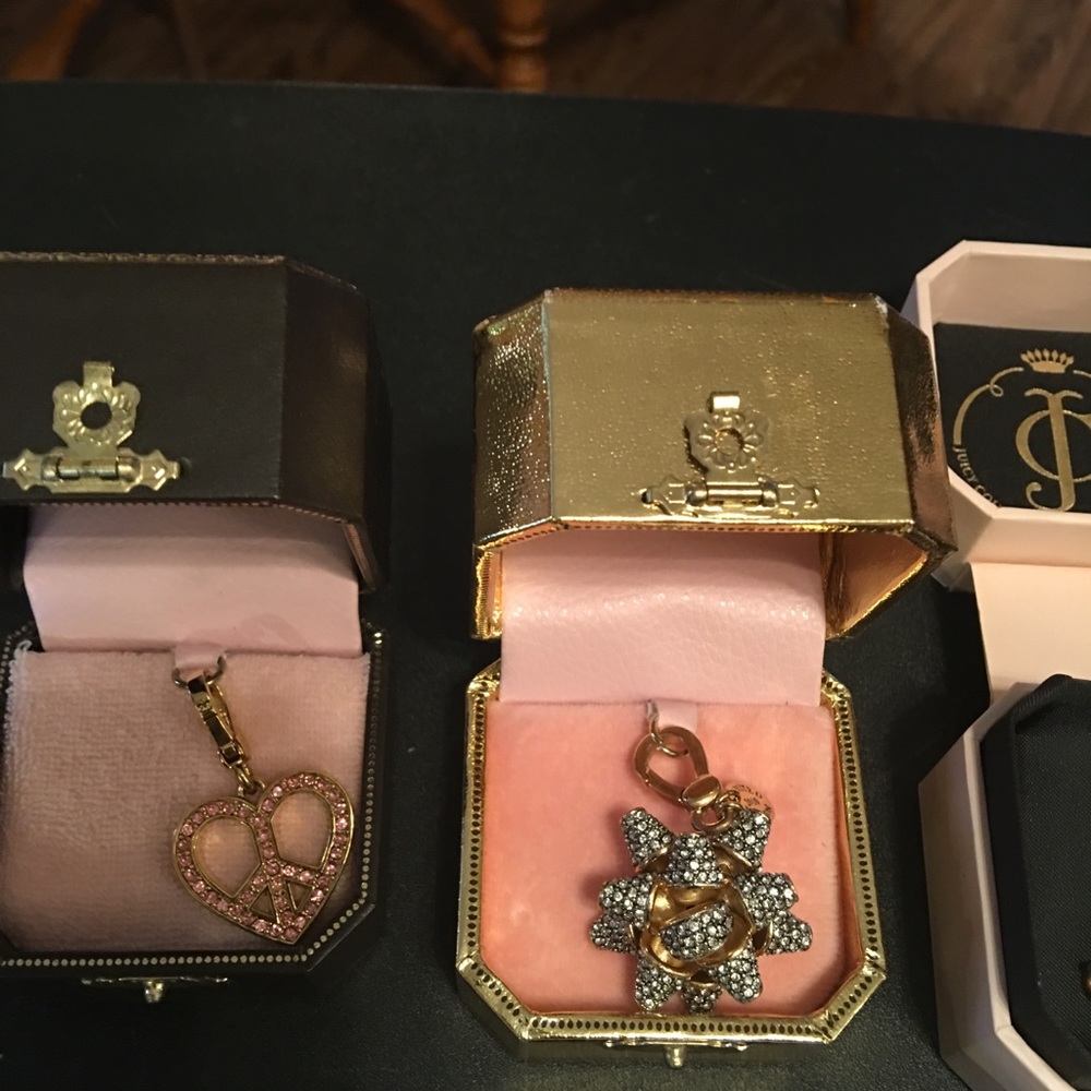 🆕 Juicy Couture charms - Picture 4 of 7